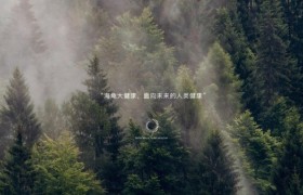 海龟大健康国谱基因:生物科技尖端名片 海龟大健康国谱基因:生物科技尖端名片