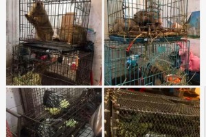 疫情背面关于健康的五大反思 疫情背面关于健康的五大反思