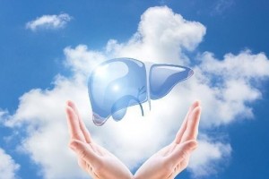 养肝便是养健康肝欠好的人少吃3白多吃2根肝一天比一天 养肝便是养健康肝欠好的人少吃3白多吃2根肝一天比一天