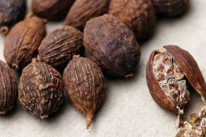 草果成为香料明星背面原因不简单 草果成为香料明星背面原因不简单