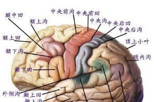 【健康科普】中心区脑搬运瘤能手术切除吗 【健康科普】中心区脑搬运瘤能手术切除吗