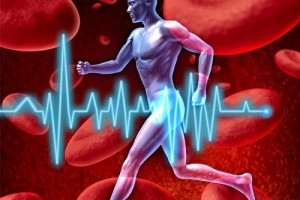 血管堵了常吃这3样菜整理血管存下的悉数废物更健康
