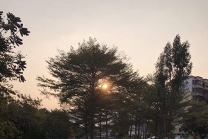 纸上得来终觉浅绝知此事要躬行 纸上得来终觉浅绝知此事要躬行