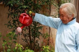 长命的人身上这3处通常是软的假如你有祝贺啦 长命的人身上这3处通常是软的假如你有祝贺啦