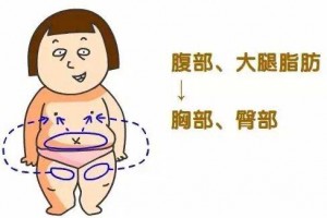 脂肪知多少