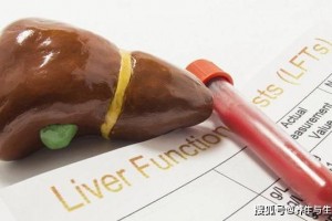 肝功能正常也可能有肝癌身体呈现1痛2痒堤防肝已病变 肝功能正常也可能有肝癌身体呈现1痛2痒堤防肝已病变