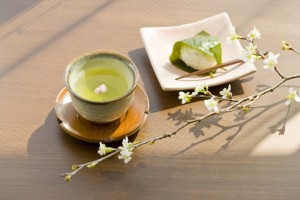 最美人世四月天四月芳香怎么泡出一缕香茶 最美人世四月天四月芳香怎么泡出一缕香茶