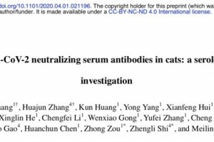 石正丽等人新研讨武汉的猫群感染了新冠病毒或许由人传达 石正丽等人新研讨武汉的猫群感染了新冠病毒或许由人传达