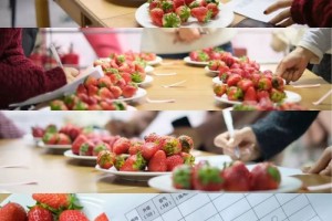 求求各位大老板来康康咱们吧 求求各位大老板来康康咱们吧