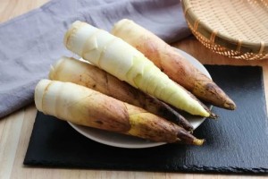 关于吃货来说少不了这样一口春天的滋味 关于吃货来说少不了这样一口春天的滋味