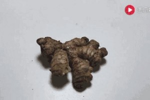 生姜上抹点它不干瘦不发芽放上一年照样新鲜 生姜上抹点它不干瘦不发芽放上一年照样新鲜