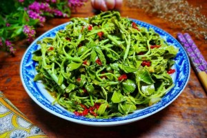 这树叶很多人都没吃过比香椿芽还香一烫一拌是最好开胃菜 这树叶很多人都没吃过比香椿芽还香一烫一拌是最好开胃菜