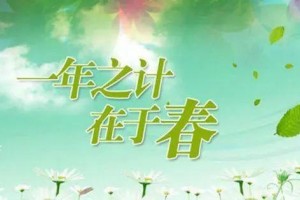 春天这么吃将疾病拒之门外 春天这么吃将疾病拒之门外