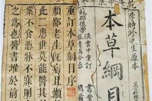 日韩特产马油究竟是什么鬼马的油 日韩特产马油究竟是什么鬼马的油
