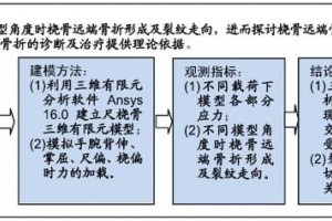 根据尺桡骨三维有限元模型剖析桡骨远端骨折的生物力学特征 根据尺桡骨三维有限元模型剖析桡骨远端骨折的生物力学特征