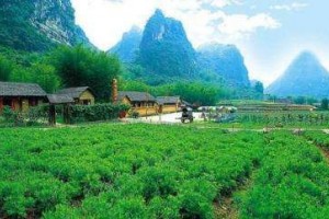 世外桃源——怀集美食 世外桃源——怀集美食