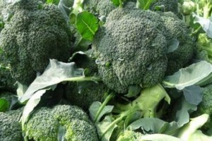 爱美女人多吃3种食物养分丰厚推迟变老好吃又不贵 爱美女人多吃3种食物养分丰厚推迟变老好吃又不贵