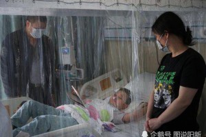 残疾母亲携子北上求医耗尽一切儿子我想变成风筝去外面看看 残疾母亲携子北上求医耗尽一切儿子我想变成风筝去外面看看