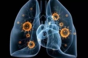 1传71哈尔滨排查四千余人疑似源头韩某还去过上海 1传71哈尔滨排查四千余人疑似源头韩某还去过上海