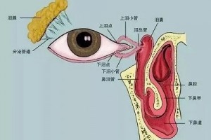 合肥爱尔眼科:87岁老人罹患泪囊炎,20分钟治愈? 合肥爱尔眼科:87岁老人罹患泪囊炎,20分钟治愈?