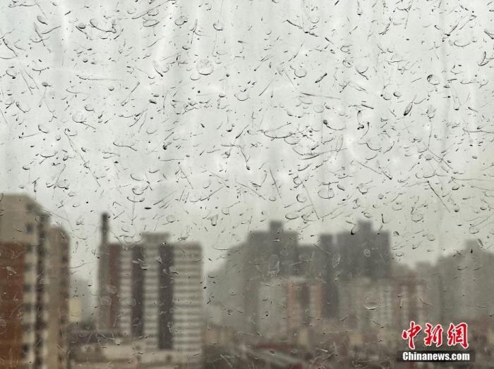 北方地区有大风降温沙尘雨雪天气南方有明显降雨过程