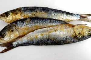 胆固醇高能吃沙丁鱼吗介绍日常饮食三种注意事项 胆固醇高能吃沙丁鱼吗介绍日常饮食三种注意事项